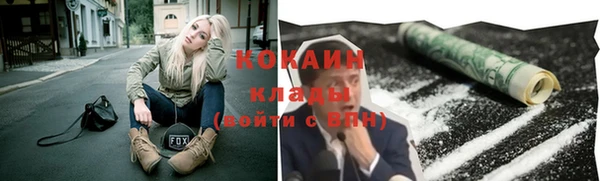 mdpv Богданович