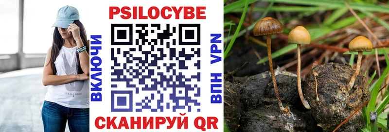 Галлюциногенные грибы Cubensis Купить Магас